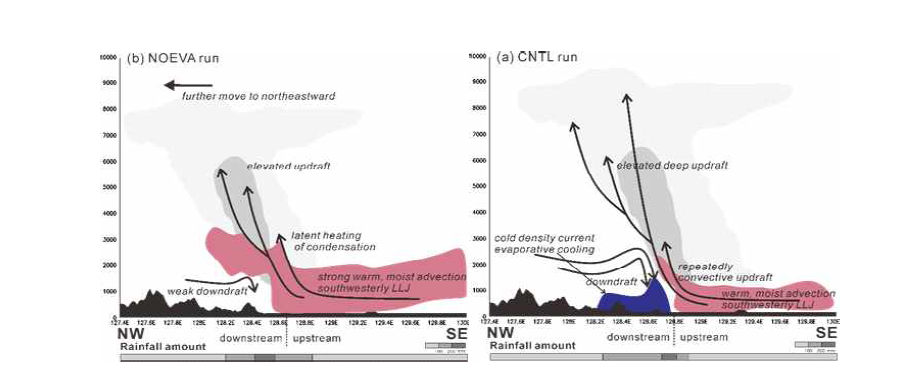 CReSS모델 결과에 의한 부산근처의 cold pool effect, 대류 발달 및 강우 분포에 대한 모식도 (a) CNTL run, (b) NOEVA run