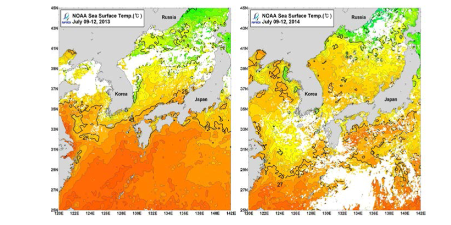 위성영상자료를 이용한 주평균 해수면온도 분포. 2013년(좌), 2014년(우)