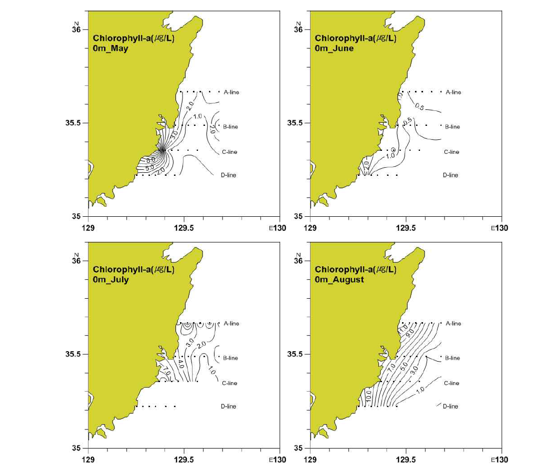 동해남부 표층 엽록소 농도 분포