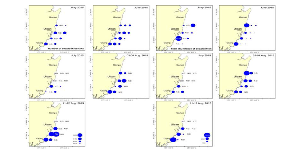 2015년 동물플랑크톤 종조성 및 개체수