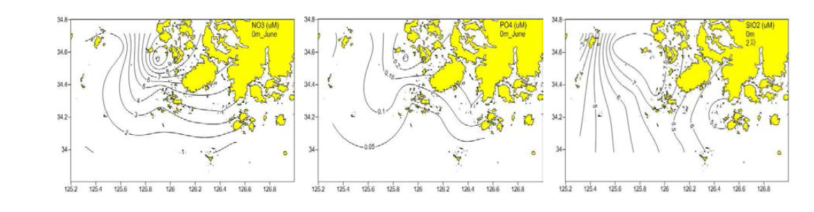 진도냉수대 영양염 표층 농도 분포