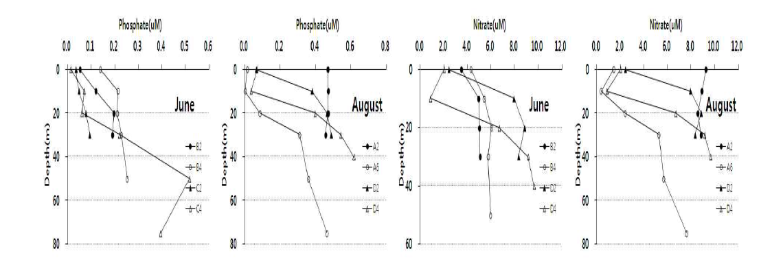 진도냉수대 영양염 연직 분포
