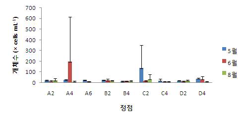 2013년 진도냉수대 식물플랑크톤 개체수 변화