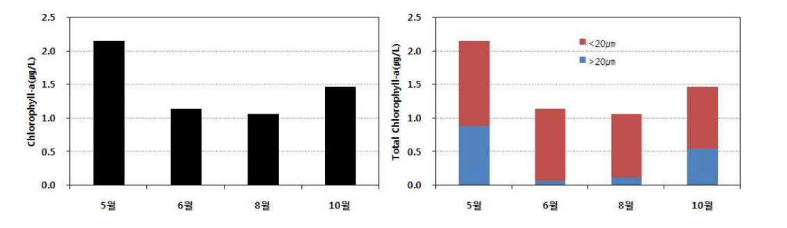 2014년 남해서부해역의 엽록소-a의 변화와 크기에 따른 식물플랑크톤의 변화