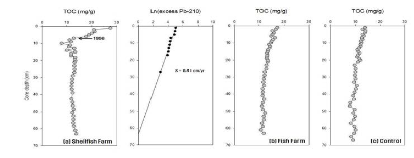 패류양식어장과 대조구 주상퇴적물 내 TOC의 수직분포.