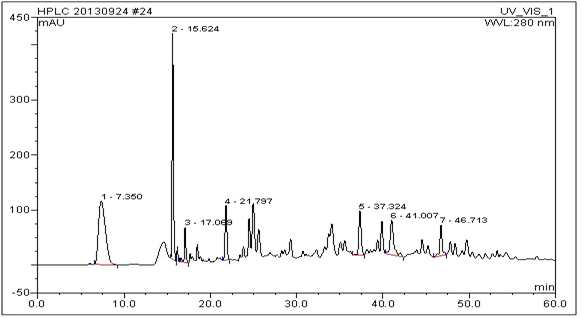 <3kDa fraction의 HPLC chromatogram