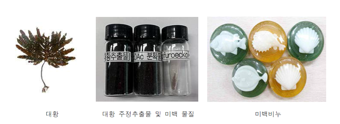대황 유래 미백활성 물질 및 시제품 개발