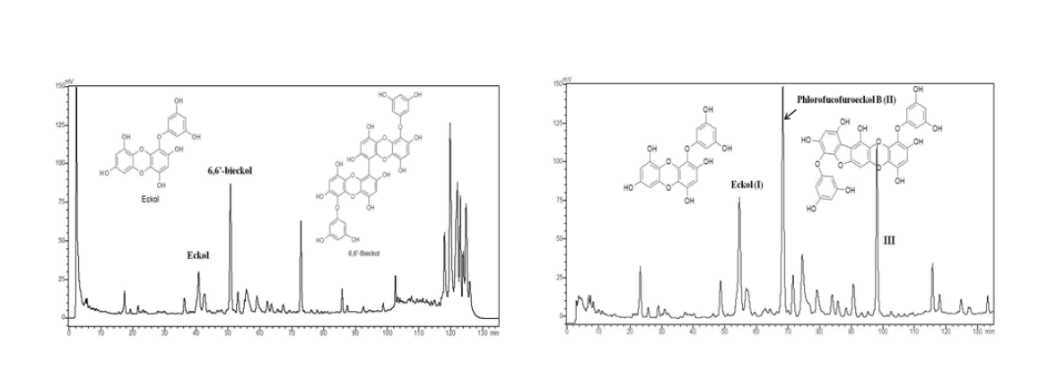 외톨개모자반 주정추출물의 HPLC 크로마토그램