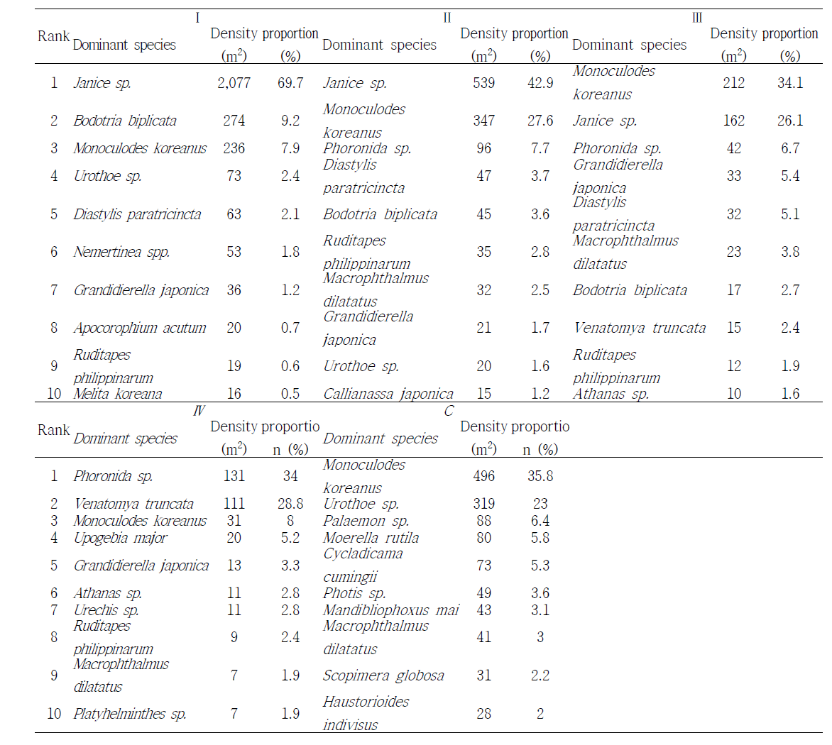 Dominant species of invertebrate at sampling area