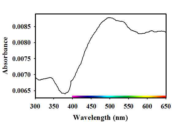 Maximum absorbance density of U.major