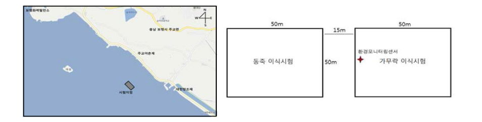 Experimental site and diagram in this study at Boryeong