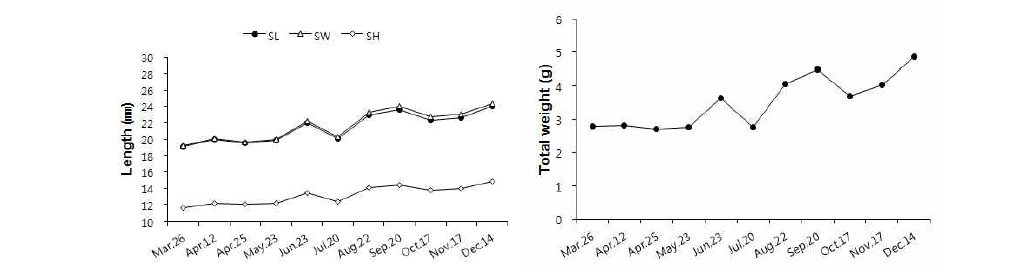 Seasonal variation of shell growth and tissue weight venus clam