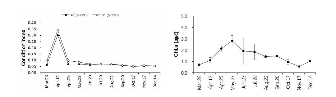 Seasonal variation of condition index and chl-a concentration of venus clam