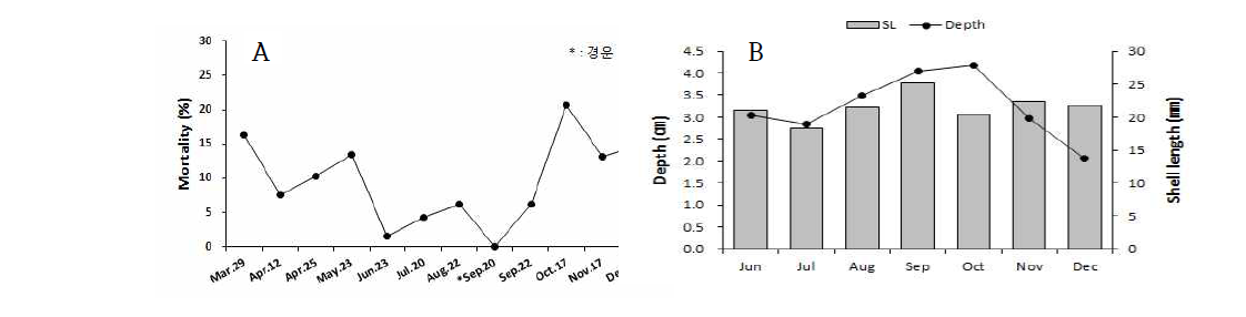 Seasonal variation of mortality and burrowing depth of venus clam