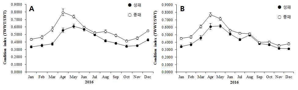 Seasonal variation of condition index at between adult and juvenile clam