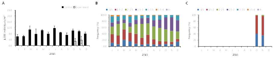 Annual density variation of the adult clam (over 10 mm shell length (SL)) in Beopsan-ri. A: annual density variation of total number of the adult clams, B: annual changes of the size frequency of the adult clams in control site, C: annual changes of the size frequency of the adult clams in experimental site