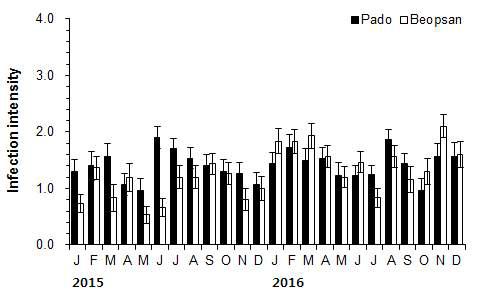 Seasonal variation of infection intensity of Perkinsus sp. at Geunso bay