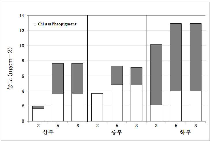 Seasonal variation of chl-a and phaeopigment concentration on the tidal flat at Gochang