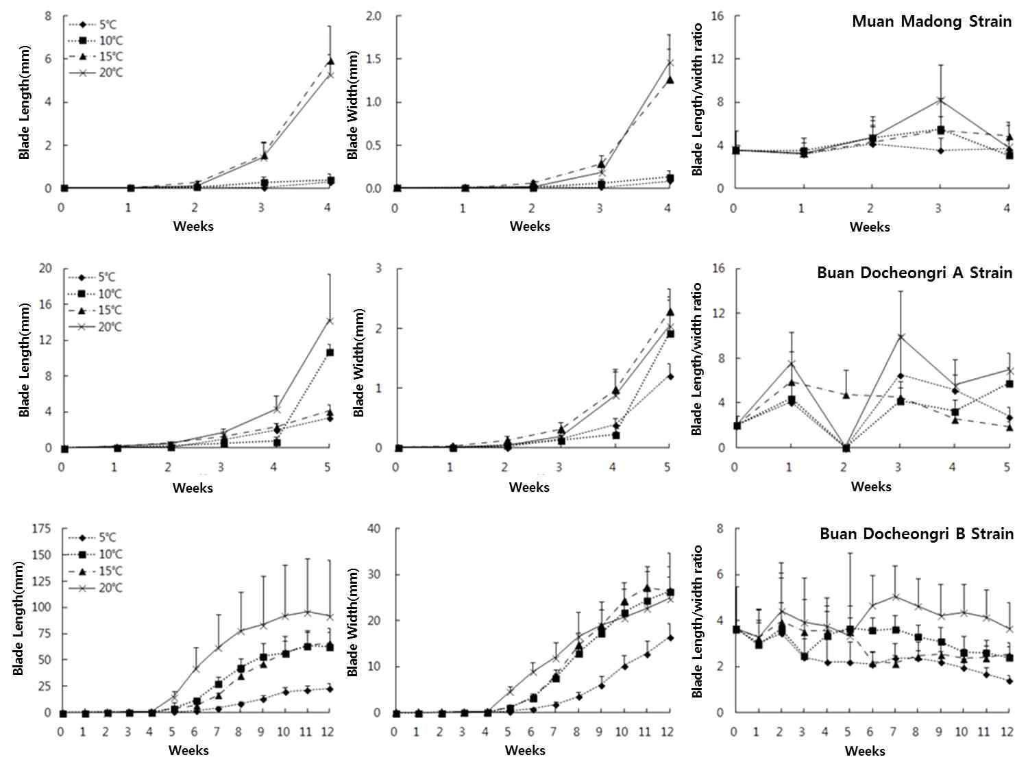 Growth of selected Pyropia strains