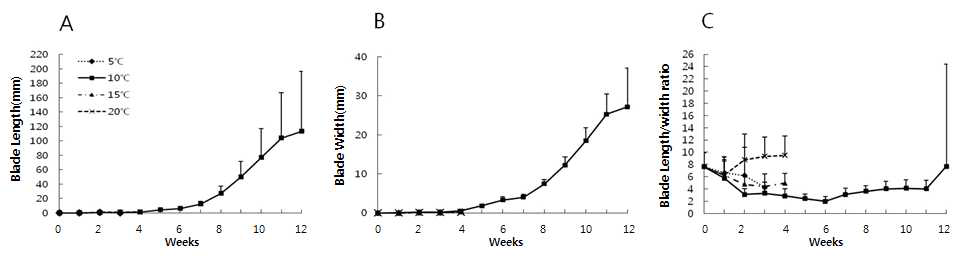 Blade length, blade width and ratio of blade length/width of the Pyropia hybrid B-②-41 [Japanese P. yezoensis JPY-TKR 10-1(♀) × Korean P. yezoensis Wando Cheongsan(♂)] under the different temperature conditions