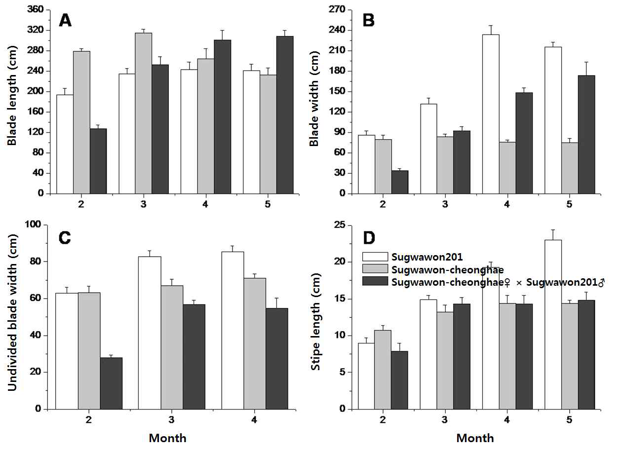 Growth comparison of the cross-breeding of Undaria pinnatifida