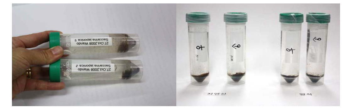 Exchange of genetic resources between Korea and China. Left: Korea→China. Right: China→Korea