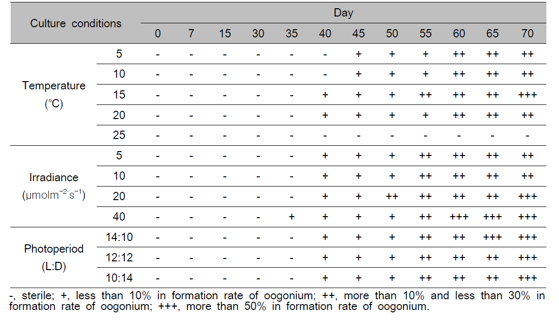 Gametophytic maturation and oogonium formation of female gametophyte under various temperature, irradiance and photoperiod conditions in Costaria costata for 70 days culture