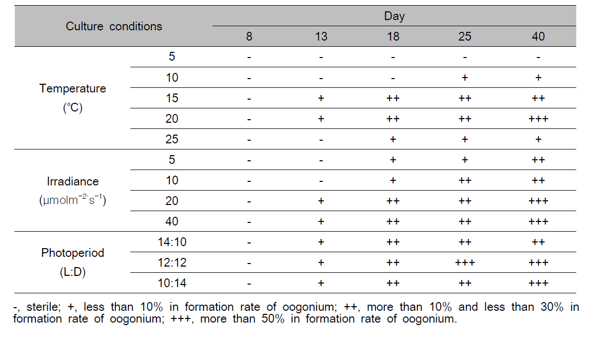 Gametophytic maturation and oogonium formation of female gametophyte under various temperature, irradiance and photoperiod conditions in Ecklonia kurome for 40 days culture