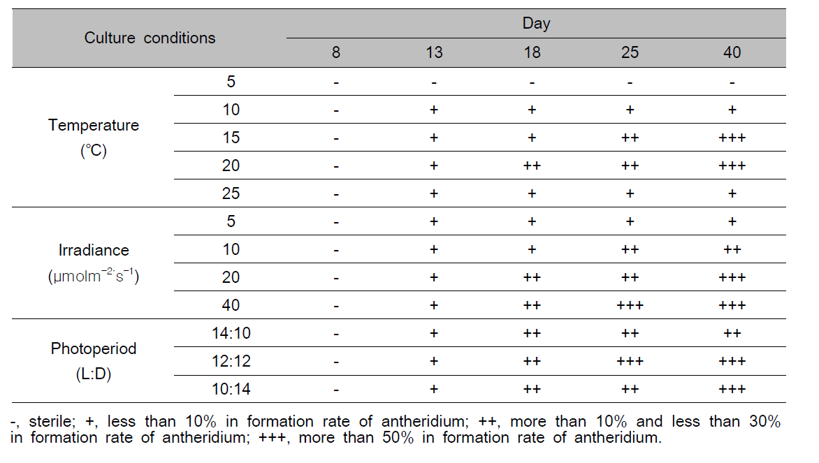 Gametophytic maturation and spermatia formation of male gametophyte under various temperature, irradiance and photoperiod conditions in Ecklonia kurome for 40 days culture