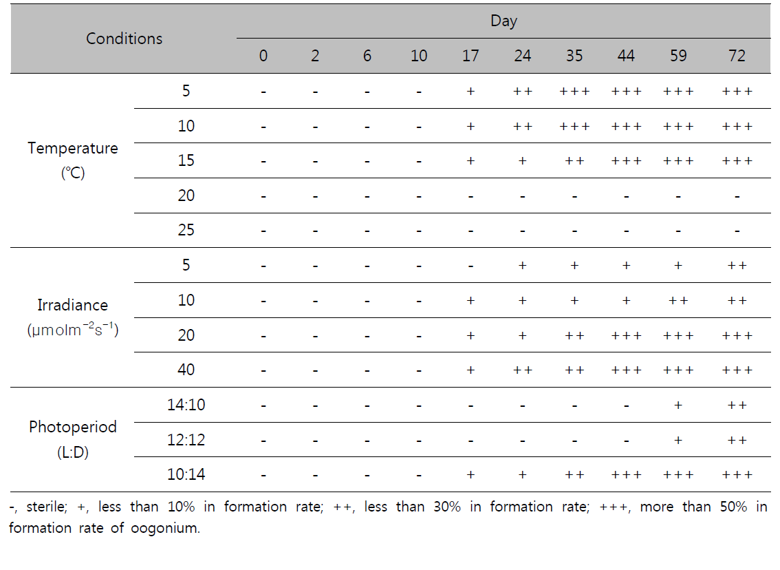 Gametophytic maturation and oogonium formation of female gametophyte under various temperature, irradiance and photoperiod conditions in Huangguan No. 1, Saccharina japonica from China during 72 days culture