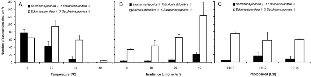 Number of sporophytes from cross breeding of free-living gametophytes between Saccharina japonica and Ecklonia stolonifera after 60 days culture. A. Density of micro-sporophyte under 4 different temperature conditions. B. Density of micro-sporophyte under 4 different irradiance conditions. C. Density of micro-sporophyte under 3 different photoperiod conditons