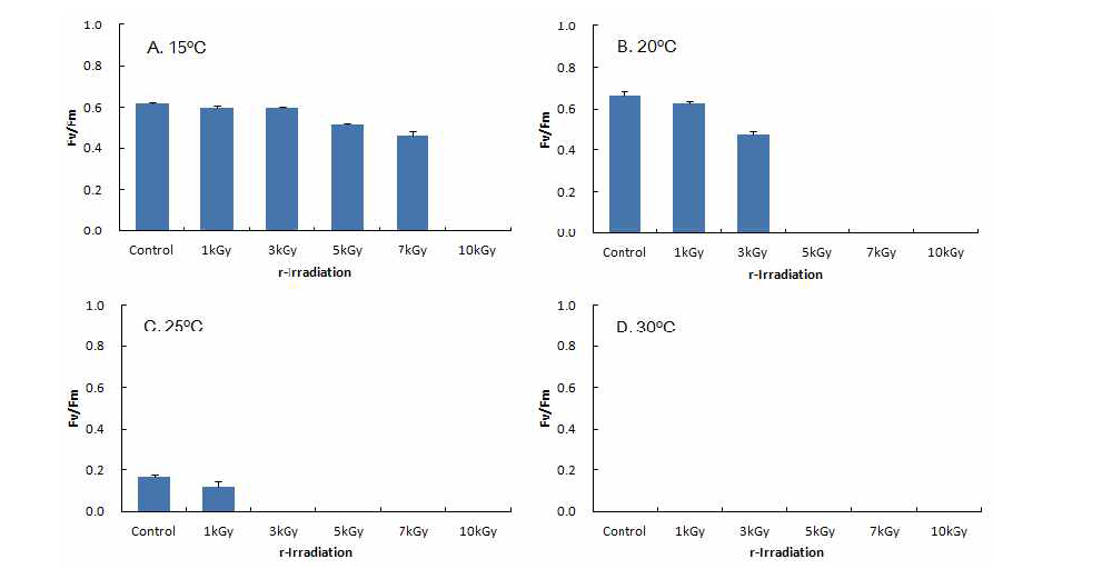 Fluorescence yield of Saccharina japonica gametophyte after different exposure doses (1, 3, 5, 7, 10kGy) to high level of gamma-ray with different temperature conditions for post-culture