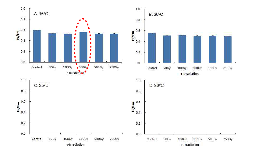 Fluorescence yield of gametophyte of Saccharina japonica after 1 hour exposure to low level of gamma-ray with different temperature conditions for post-culture for 9 weeks