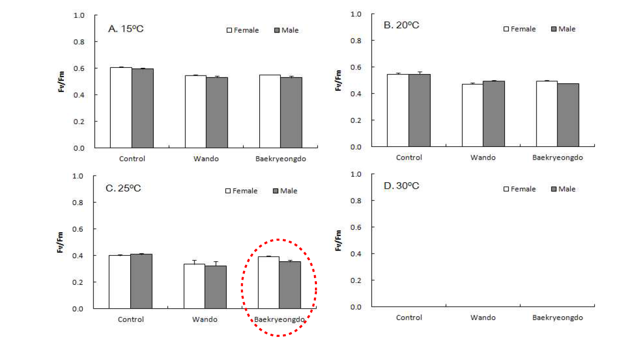 Fluorescence yield of Wando and Baekryeongdo strains of Saccharina japonica after 8 hrs exposure to low level of gamma-ray after 4 days post culture