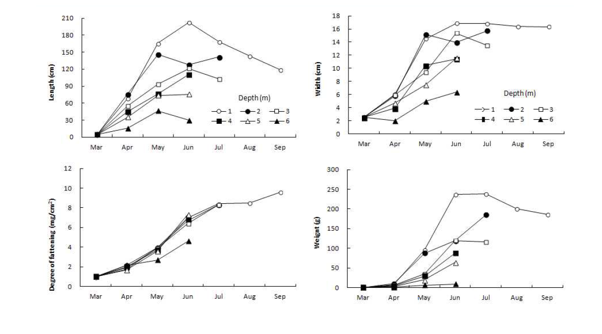 Growth of Saccharina japonica by free-living gametophyte seedling according to different water depth from March to September 2014