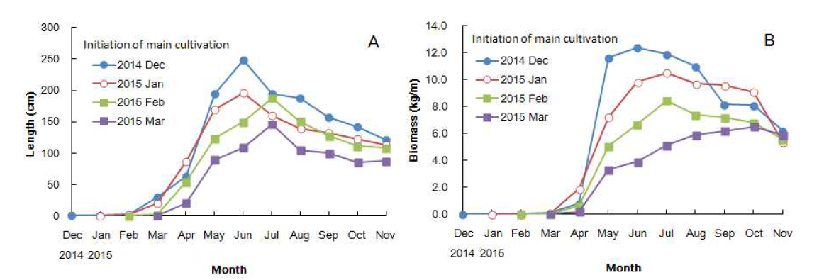 Growth of Saccharina japonica with different initiation of main cultivation from December 2014 to November 2015. A: Length (cm). B: Biomass(kg/m)