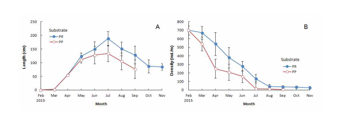 Growth of Saccharina japonica according to different culture rope materials (Polypropylene and Polyrope). A: Length (cm). B: Density of thalli (ind/m)