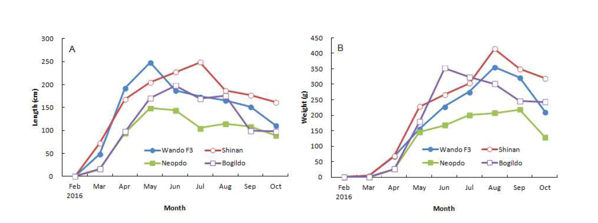 Growth of 4 different strains of Saccharina japonica from February to October 2016. A: Length (cm). B: Weight (g)
