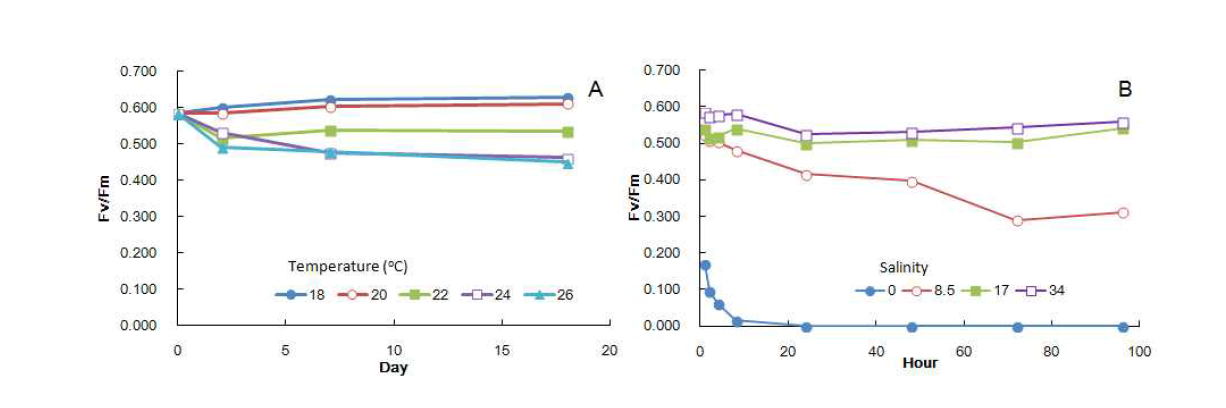 Fluorescence yield of sporophytes (mean initial length 250 μm) of Saccharina japonica under different temperature (A) and salinity (B) conditions