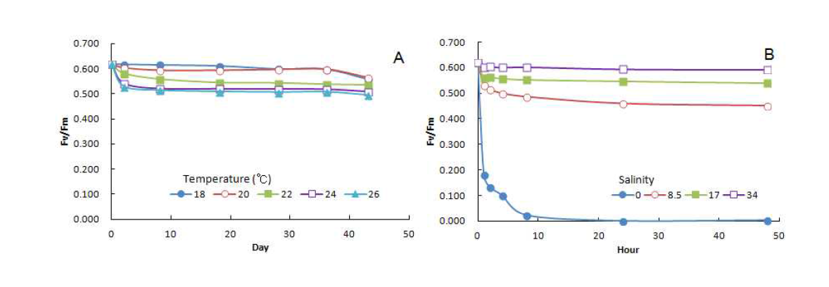 Fluorescence yield of sporophytes (mean initial length 1mm) of Saccharina japonica under different temperature (A) and salinity (B) conditions