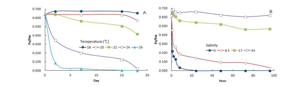 Fluorescence yield of sporophytes (mean initial length 5mm) of Saccharina japonica under different temperature (A) and salinity (B) conditions