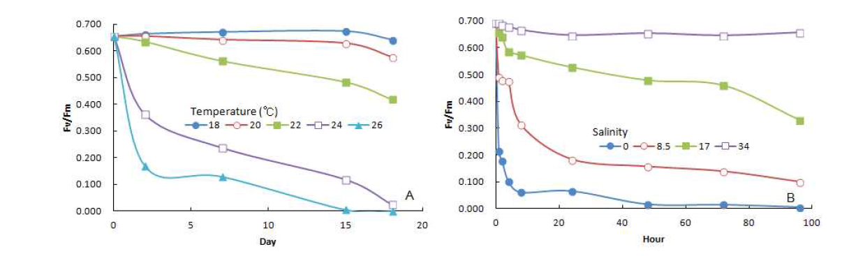 Fluorescence yield of sporophytes (mean initial length 10mm) of Saccharina japonica under different temperature (A) and salinity (B) conditions