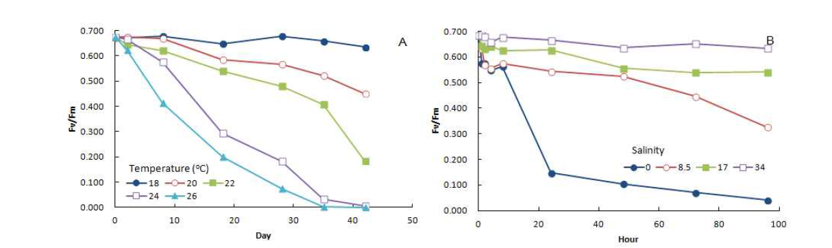 Fluorescence yield of sporophytes (mean initial length 30cm) of Saccharina japonica under different temperature (A) and salinity (B) conditions