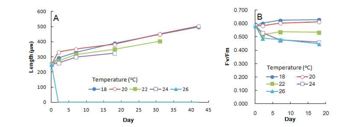 Growth (A) and fluorescence yield (B) of sporophytes (mean initial length 250μm) of Saccharina japonica under different temperature conditions