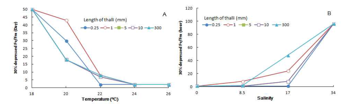 Period to reduced fluorescence yield of Saccharina japonica according to different temperature (A) and salinity (B) conditions