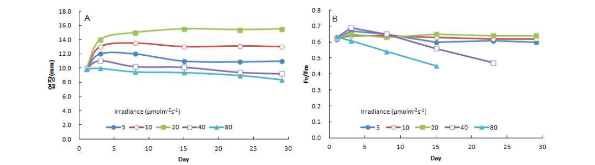 Growth (A) and fluorescence yield (B) of sporophytes (mean initial length 10mm) of Saccharina japonica under different irradiance conditions