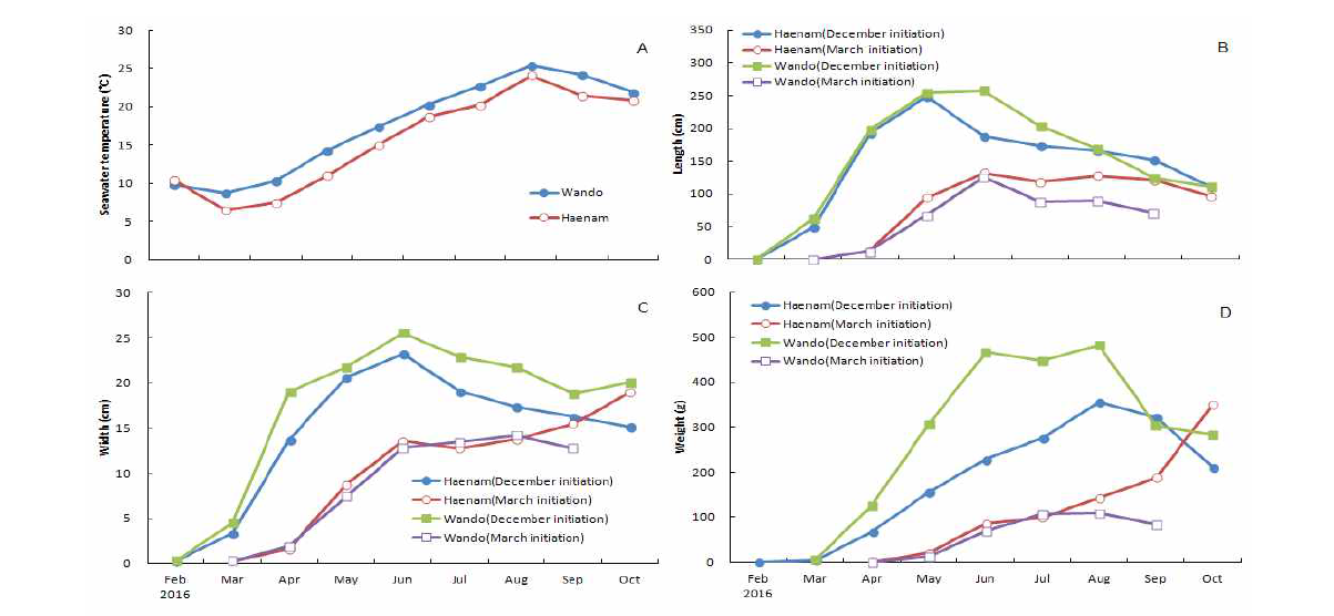 Growth of Saccharina japonica during field adaptation test of breeding varieties. A: Seawater temperature at Wando and Haenam culture grounds. B: Length (cm). C: Width (cm). D: Weight (g)