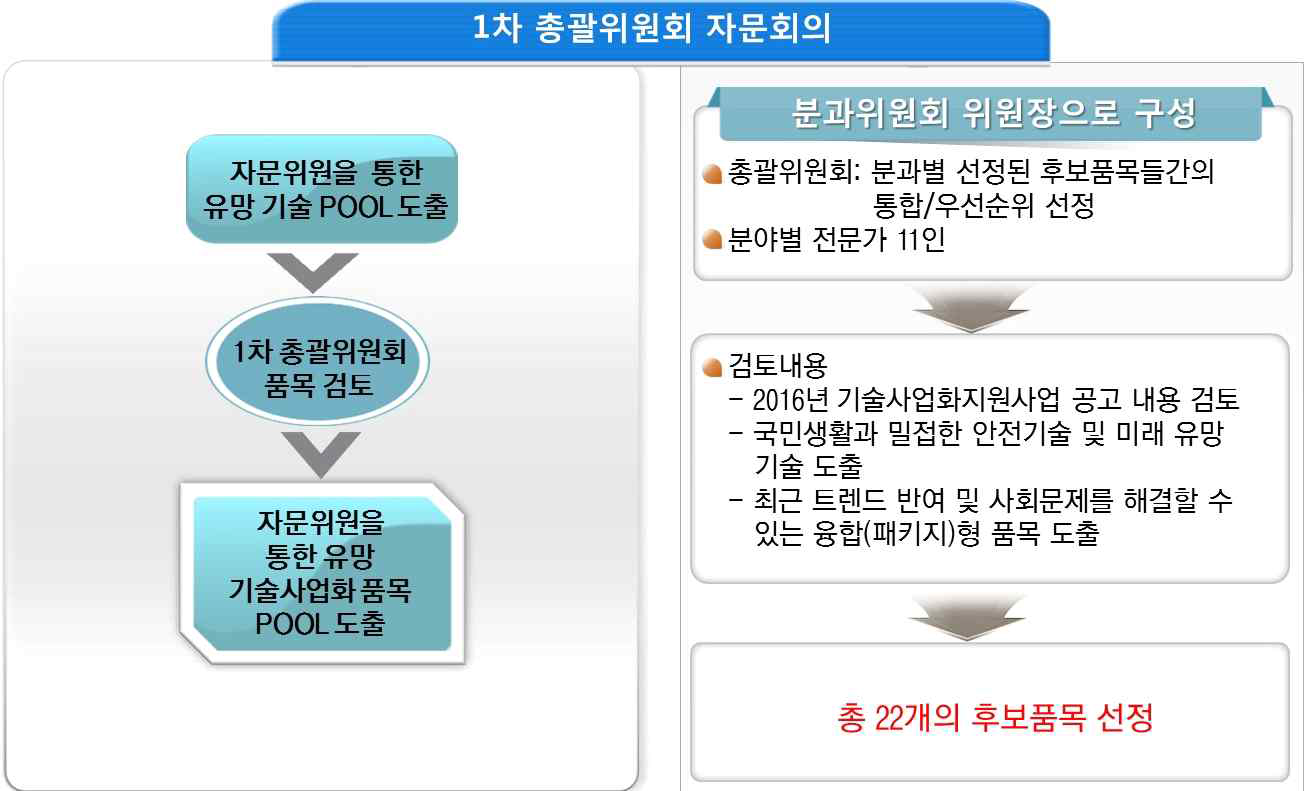 1차 총괄위원회 자문을 통한 품목도출 프로세스