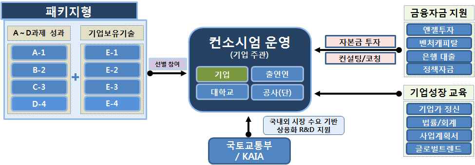 정부·민간기술 패키지형 컨소시엄(Consortium) 방식