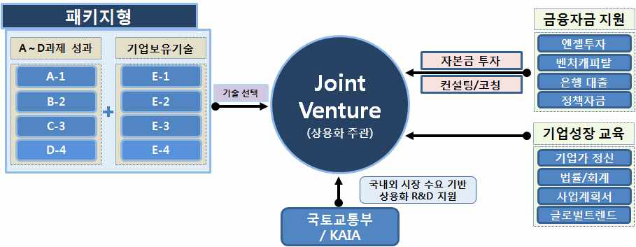 기술 패키지형 조인트벤처(Joint Venture) 방식